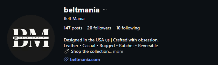 Belt Mania Instagram profile before follower growth